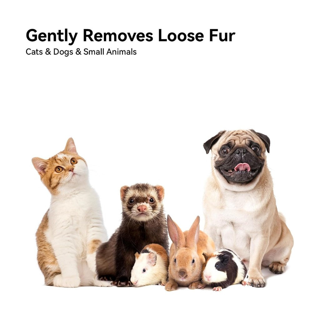 Designed For All Pets